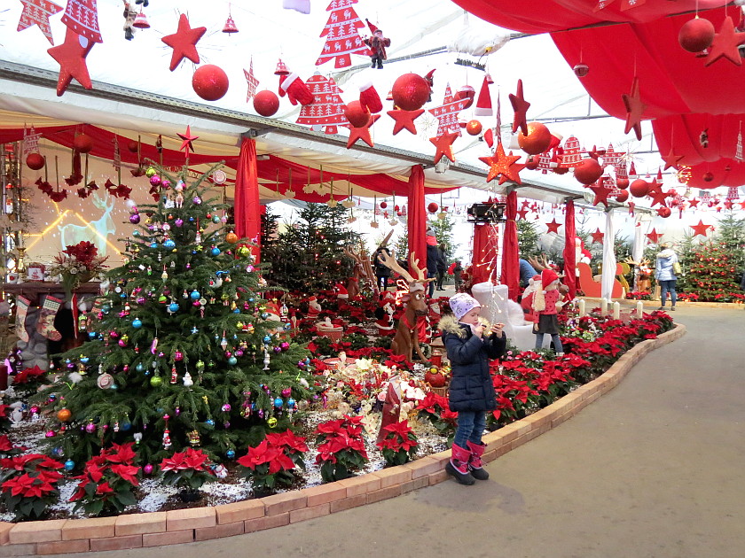 Weihnachtsausstellung Blumengaerten Hirschstetten: Kind vor gestalteter Landschaft mit Christbaum, Rentier und Weihnachtsblumen ... ...