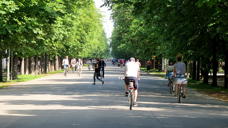Radfahrer auf der Prater Hauptallee in Wien ...