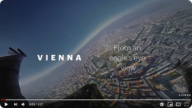 Foto zum Video Wien aus der Adlerperspektive ...