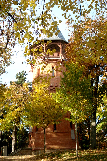 Paulinenwarte im Türkenschanzpark im Herbst ...