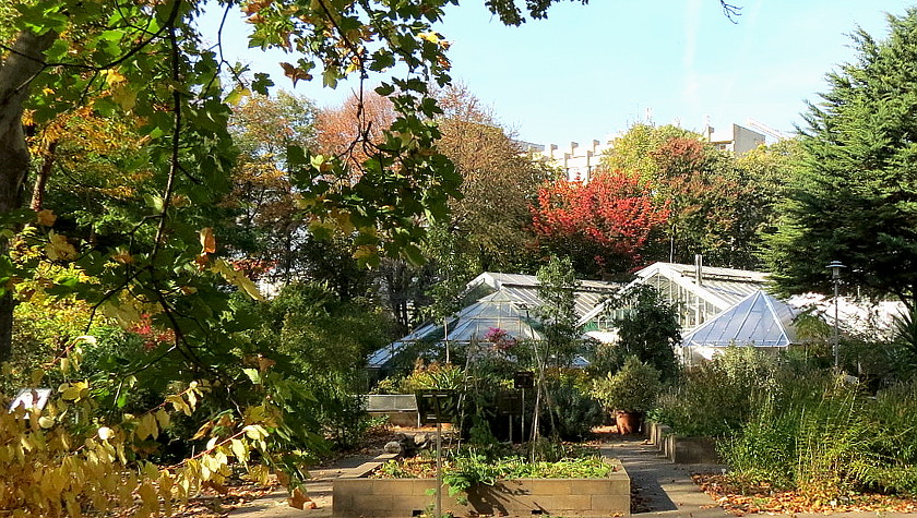 Gewächshaus im botanischen Garten der Universitaet Budapest im Herbst ...